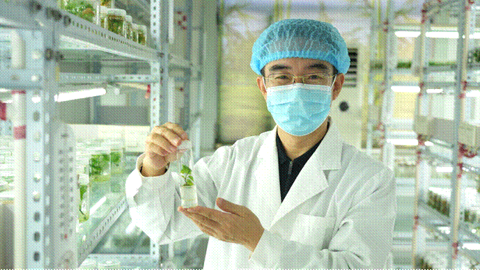 ����kaiyun�羺��(�й���)�ٷ���վ