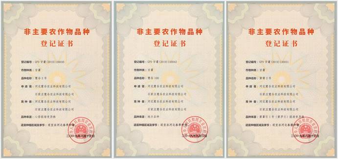 ����kaiyun�羺��(�й���)�ٷ���վ