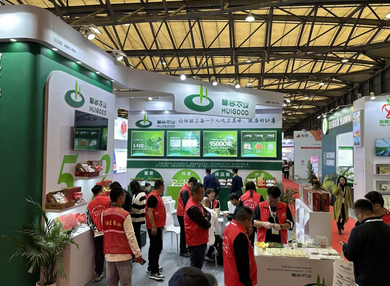 ����kaiyun�羺��(�й���)�ٷ���վ