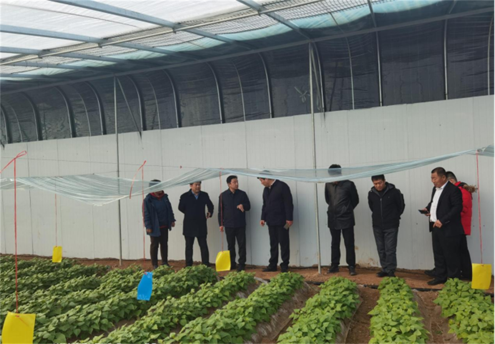 ����kaiyun�羺��(�й���)�ٷ���վ