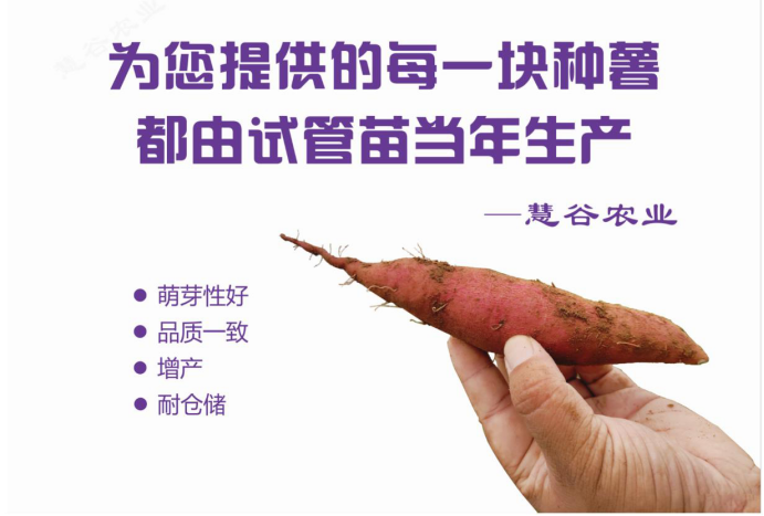 ����kaiyun�羺��(�й���)�ٷ���վ