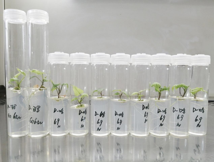 ����kaiyun�羺��(�й���)�ٷ���վ