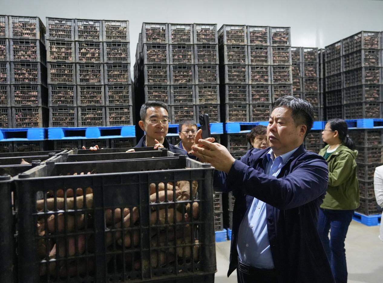 ����kaiyun�羺��(�й���)�ٷ���վ