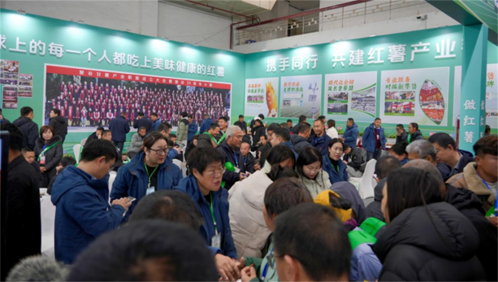 ����kaiyun�羺��(�й���)�ٷ���վ