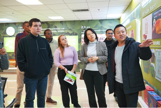 ����kaiyun�羺��(�й���)�ٷ���վ