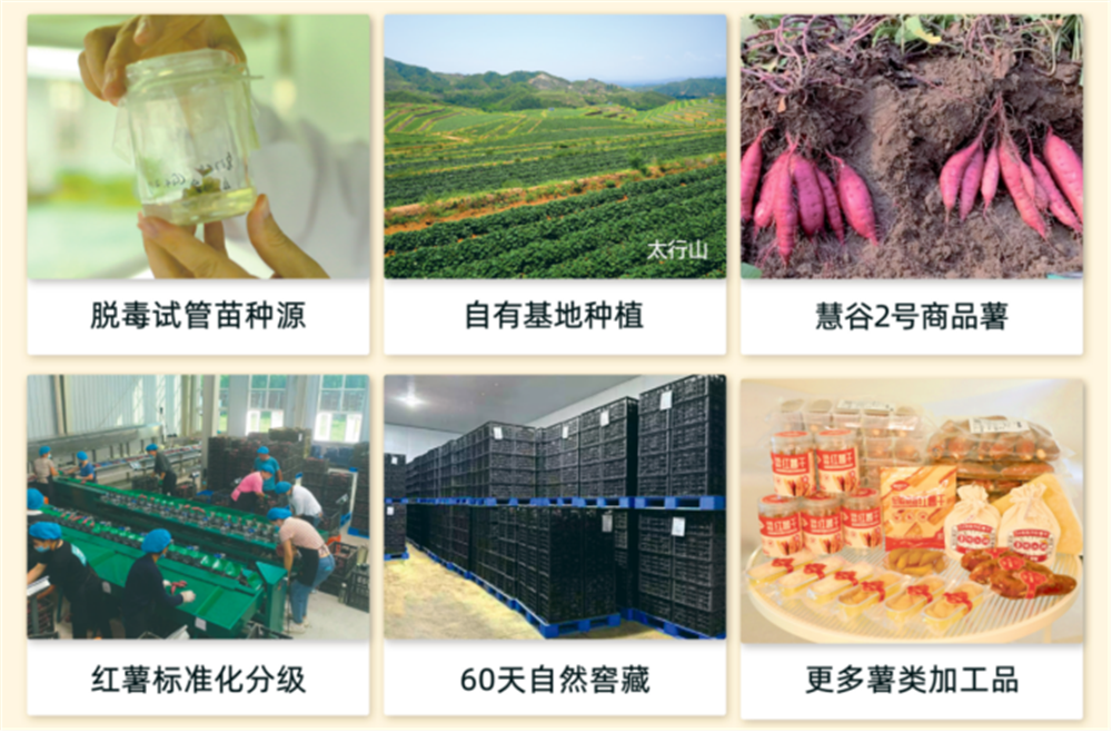 ����kaiyun�羺��(�й���)�ٷ���վ