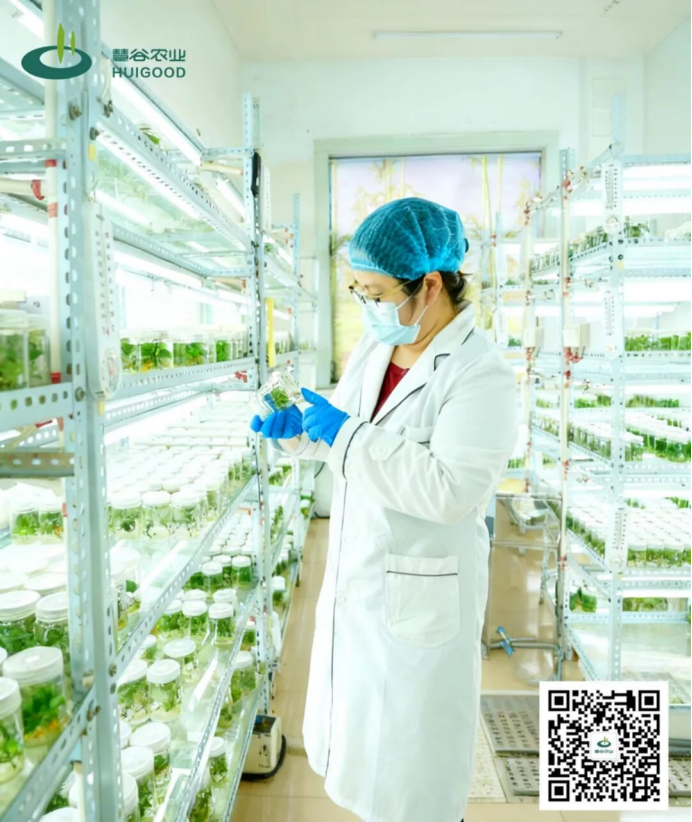 ����kaiyun�羺��(�й���)�ٷ���վ