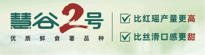 ����kaiyun�羺��(�й���)�ٷ���վ