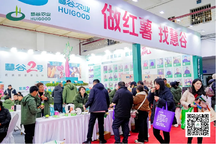 ����kaiyun�羺��(�й���)�ٷ���վ