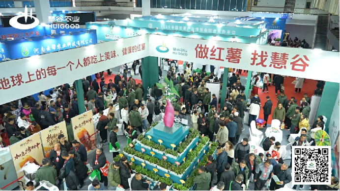 ����kaiyun�羺��(�й���)�ٷ���վ