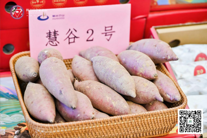 ����kaiyun�羺��(�й���)�ٷ���վ