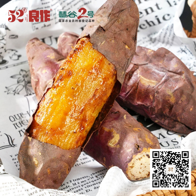 ����kaiyun�羺��(�й���)�ٷ���վ