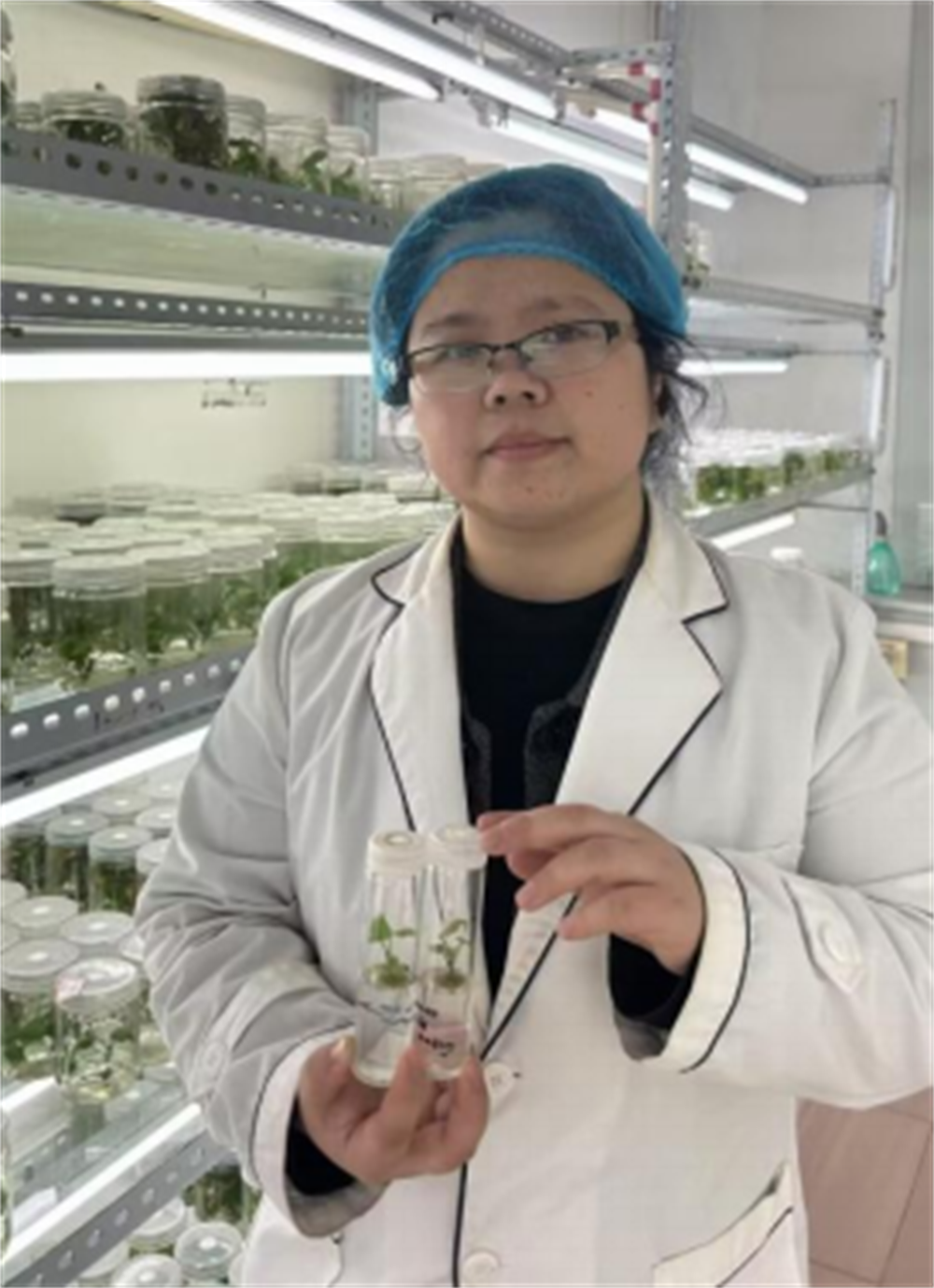 ����kaiyun�羺��(�й���)�ٷ���վ