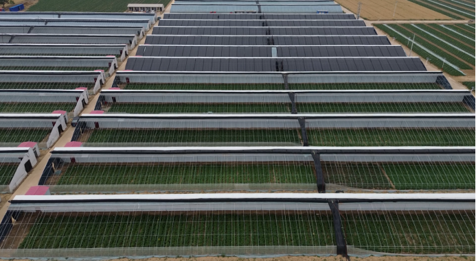 ����kaiyun�羺��(�й���)�ٷ���վ