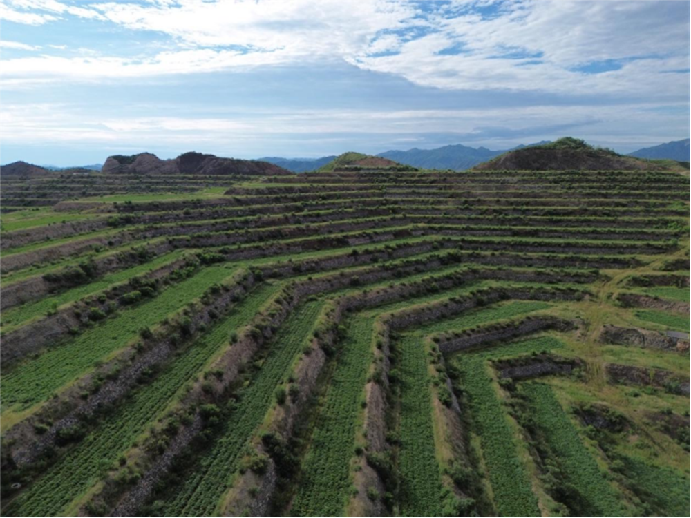 ����kaiyun�羺��(�й���)�ٷ���վ