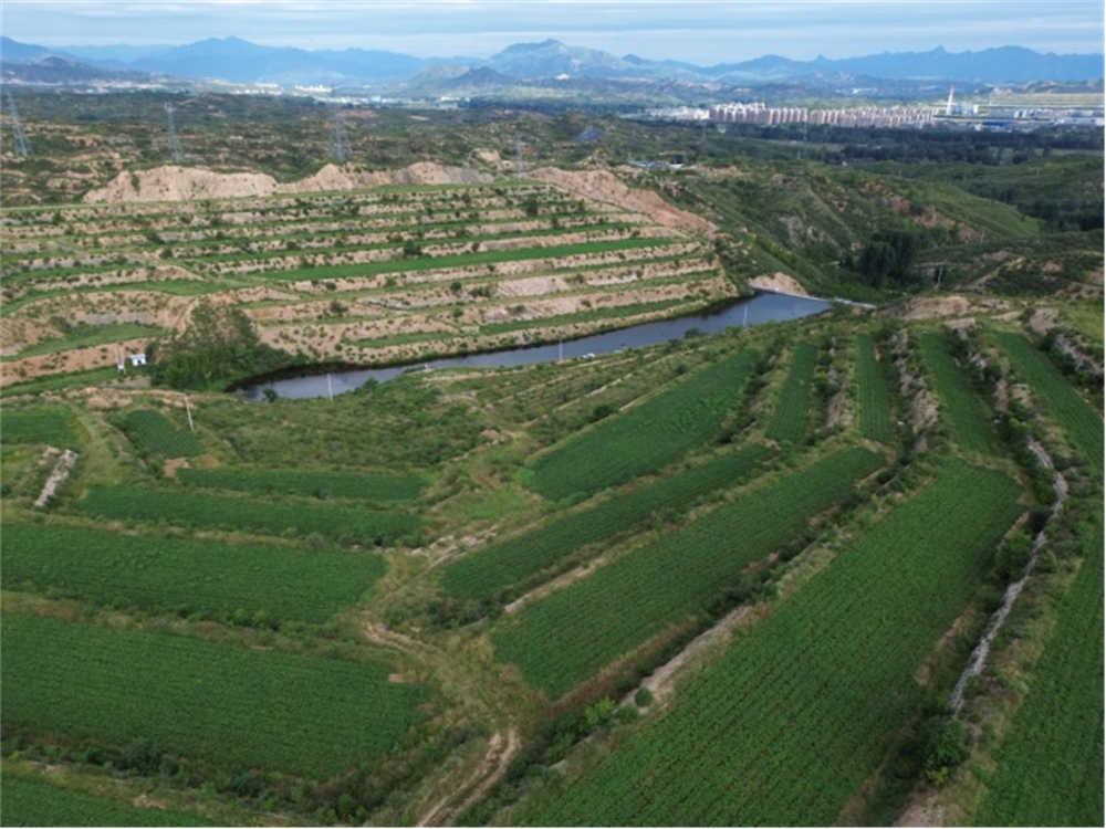 ����kaiyun�羺��(�й���)�ٷ���վ