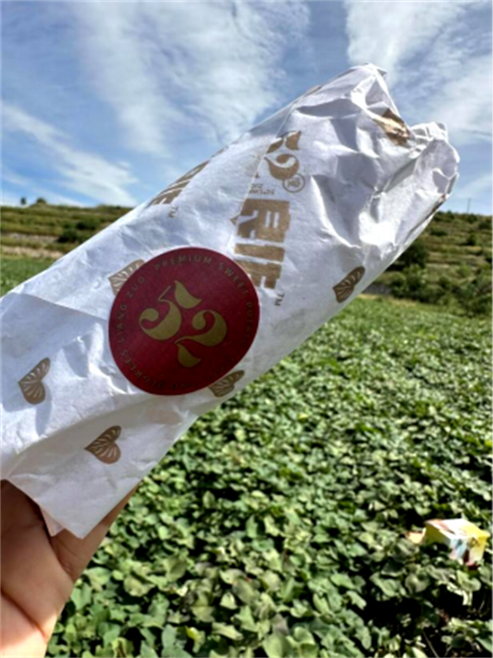 ����kaiyun�羺��(�й���)�ٷ���վ