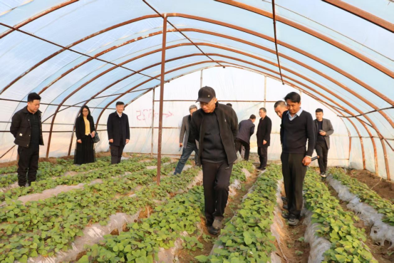 ����kaiyun�羺��(�й���)�ٷ���վ