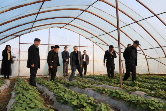 ����kaiyun�羺��(�й���)�ٷ���վ