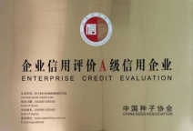 ����kaiyun�羺��(�й���)�ٷ���վ