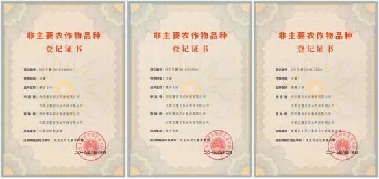 ����kaiyun�羺��(�й���)�ٷ���վ