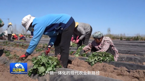 ����kaiyun�羺��(�й���)�ٷ���վ