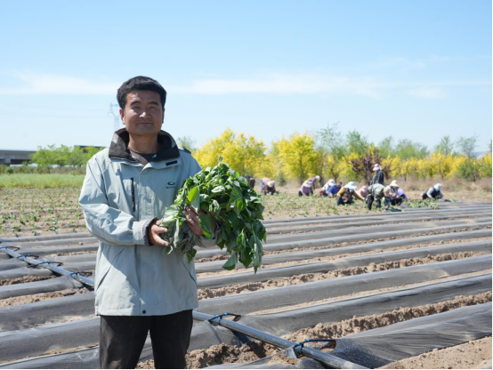 ����kaiyun�羺��(�й���)�ٷ���վ