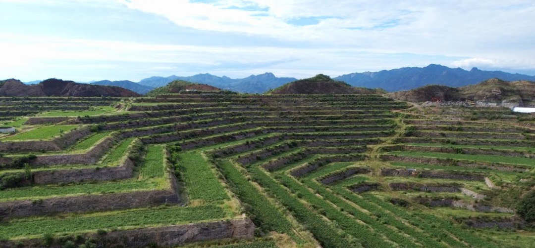 ����kaiyun�羺��(�й���)�ٷ���վ