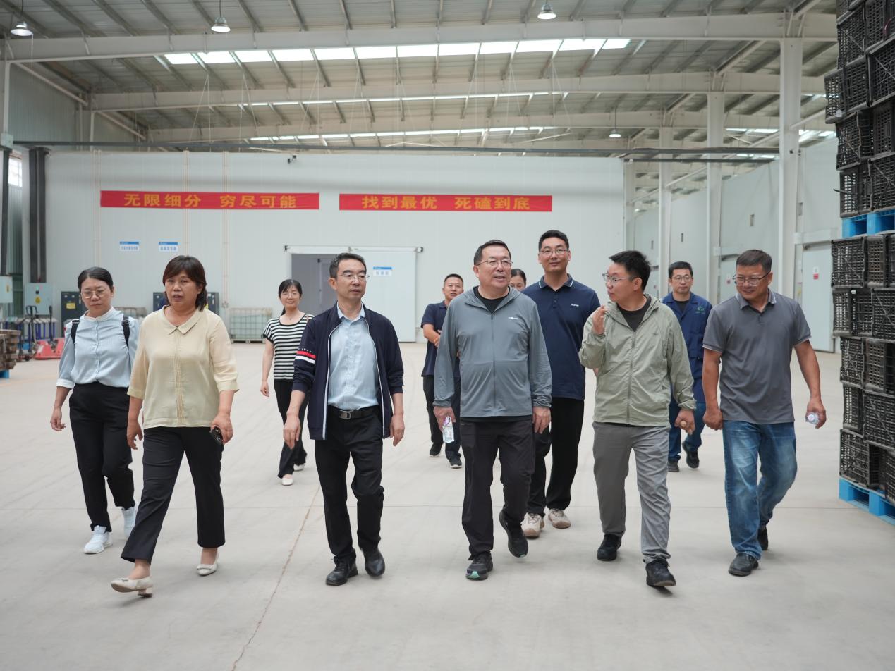 ����kaiyun�羺��(�й���)�ٷ���վ