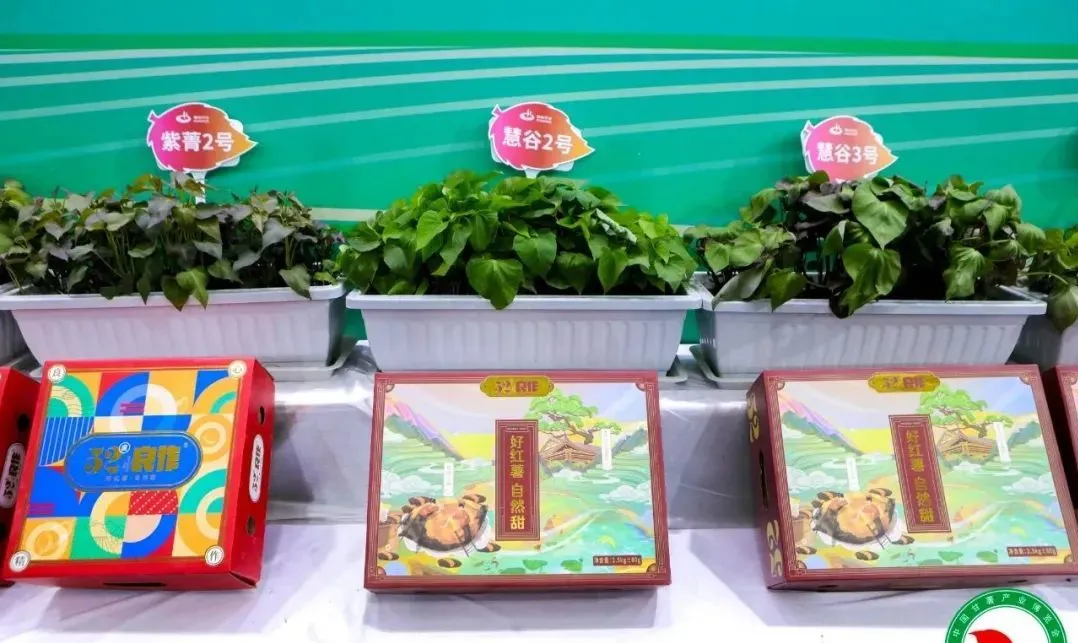 ����kaiyun�羺��(�й���)�ٷ���վ