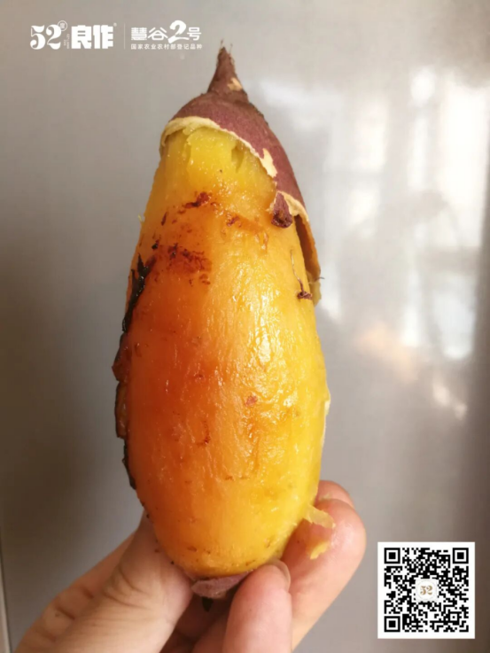 ����kaiyun�羺��(�й���)�ٷ���վ