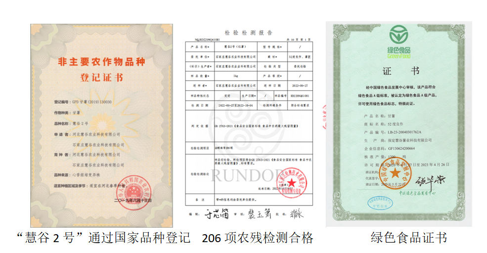 ����kaiyun�羺��(�й���)�ٷ���վ