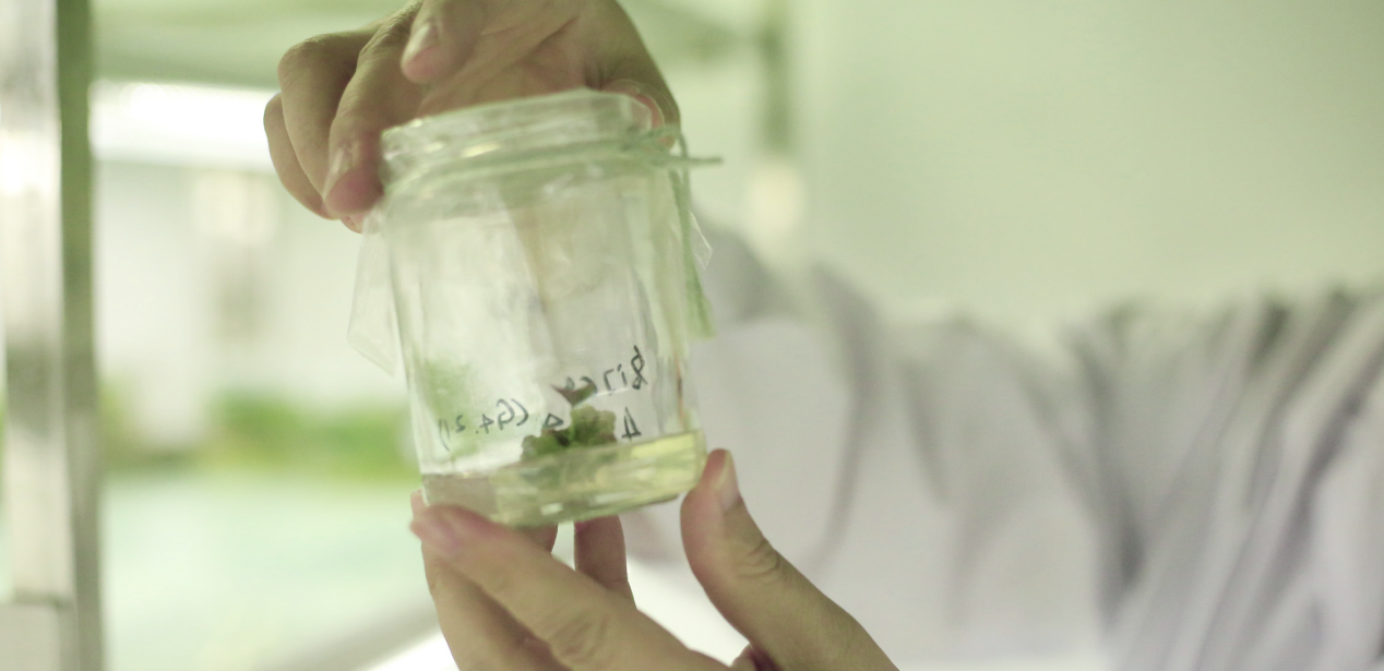 ����kaiyun�羺��(�й���)�ٷ���վ