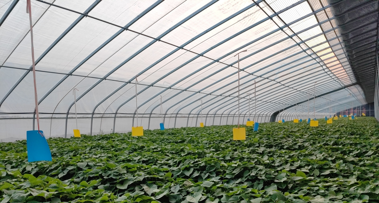 ����kaiyun�羺��(�й���)�ٷ���վ