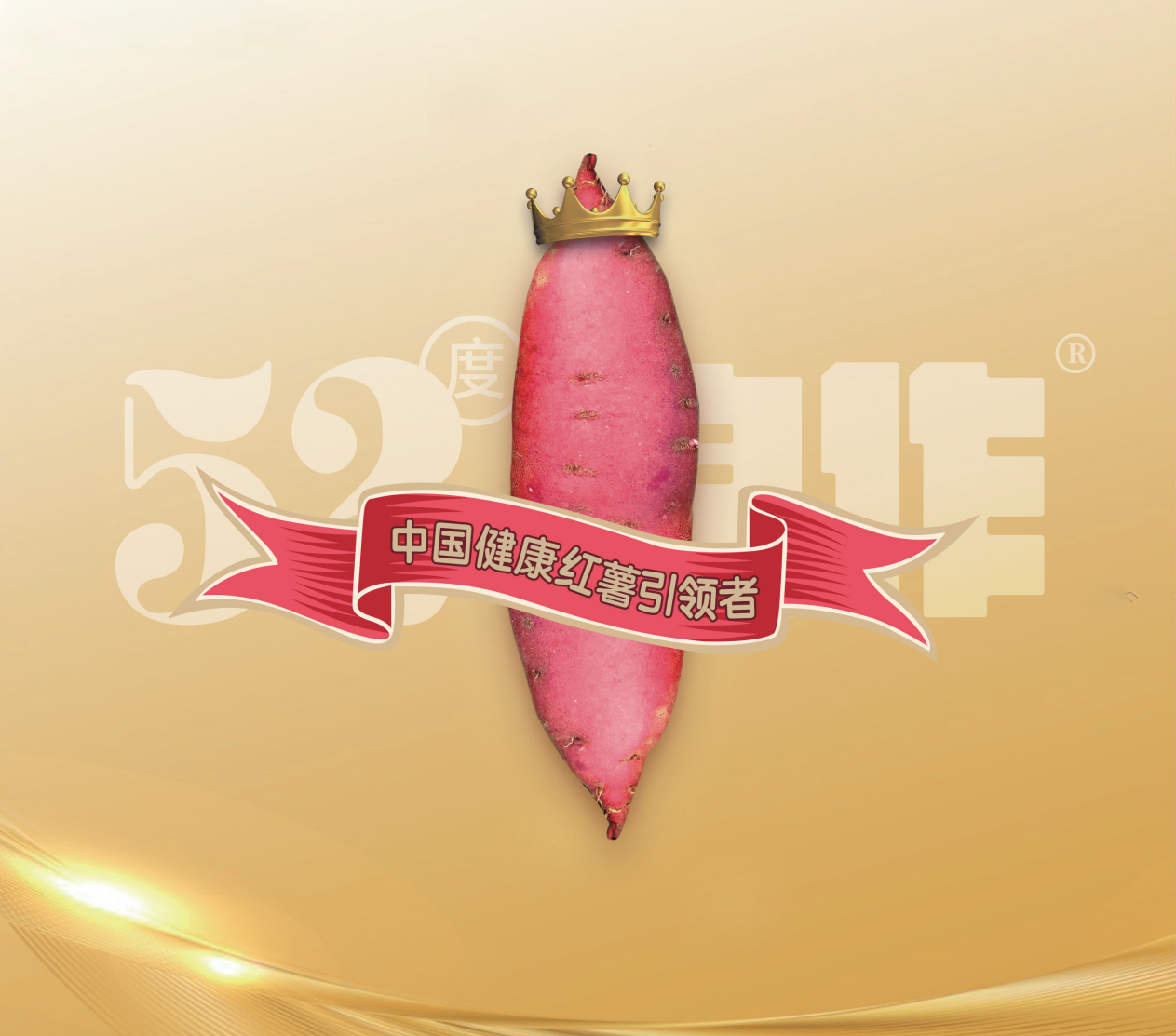 ����kaiyun�羺��(�й���)�ٷ���վ