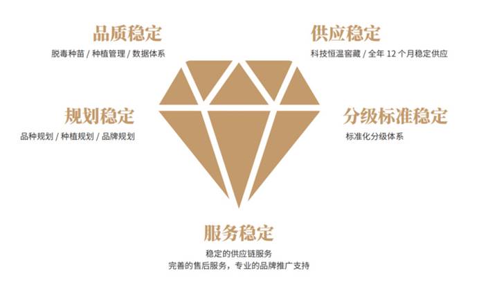 ����kaiyun�羺��(�й���)�ٷ���վ