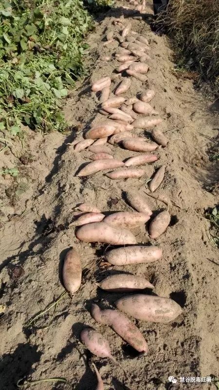 ����kaiyun�羺��(�й���)�ٷ���վ