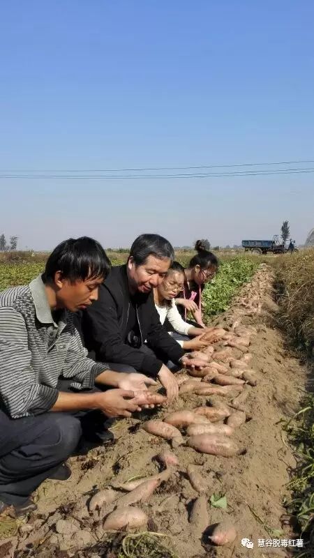 ����kaiyun�羺��(�й���)�ٷ���վ