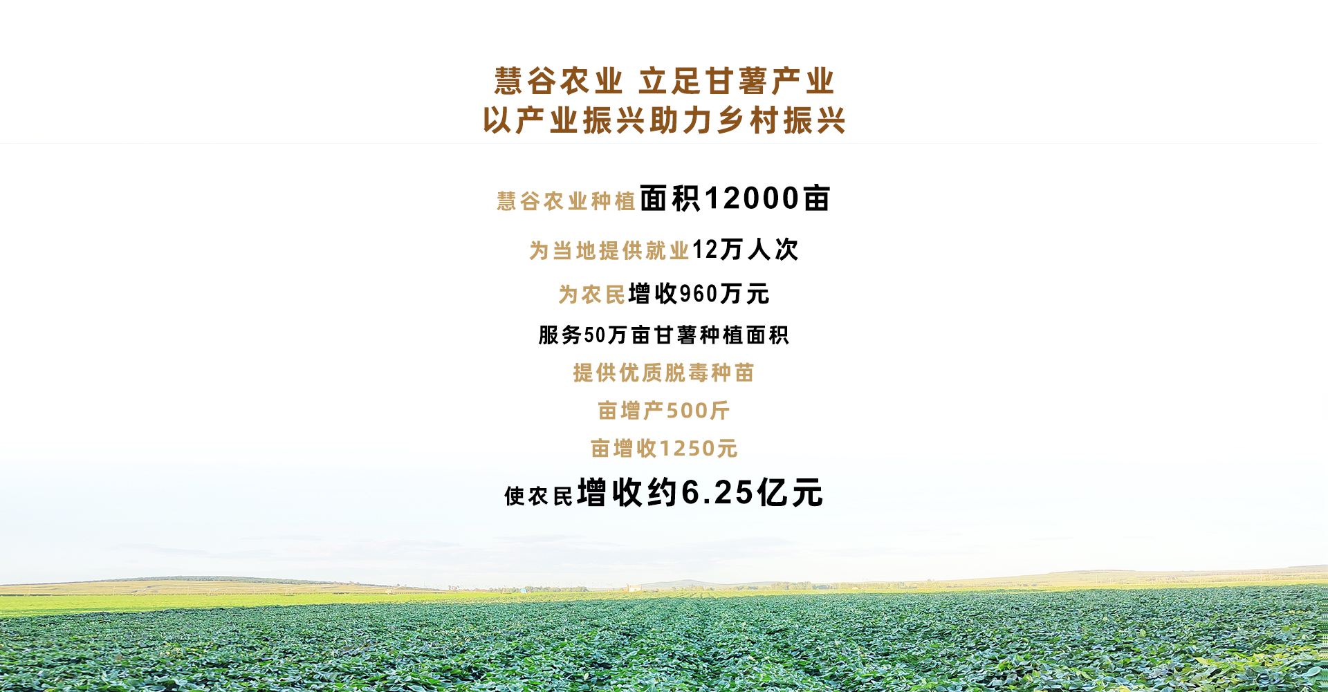 ����kaiyun�羺��(�й���)�ٷ���վ