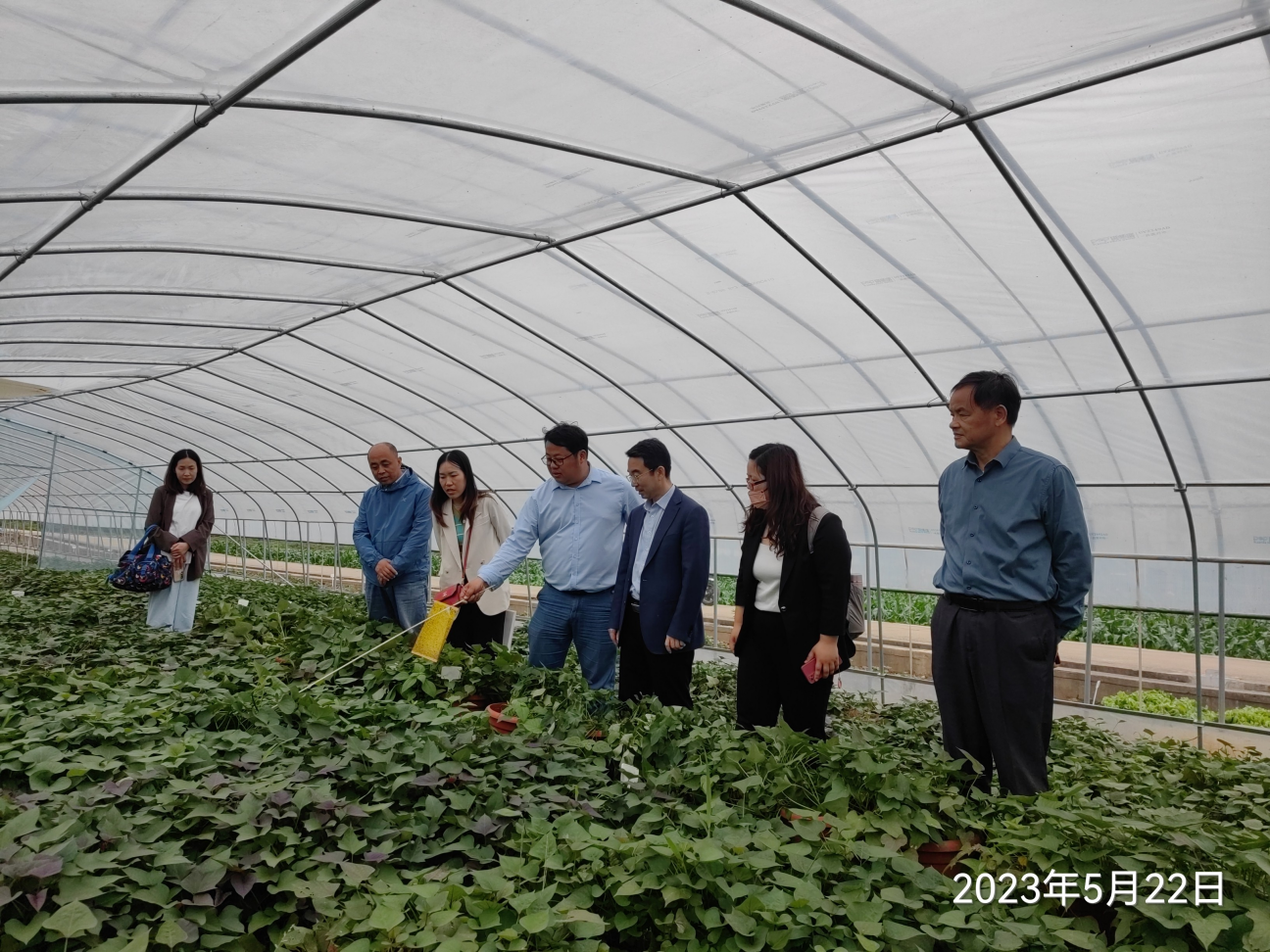 ����kaiyun�羺��(�й���)�ٷ���վ