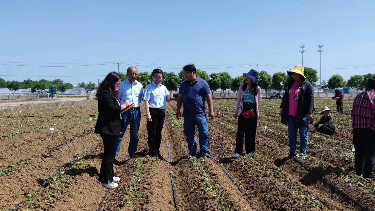 ����kaiyun�羺��(�й���)�ٷ���վ